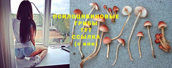 гашик Беломорск