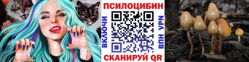 Галлюциногенные грибы мухоморы  Унеча 